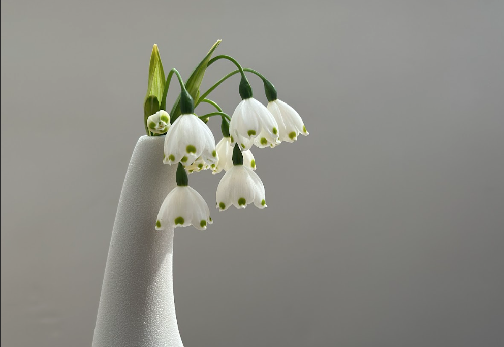 What We’ve Always Known: How we lost touch and how we’re finding our way back