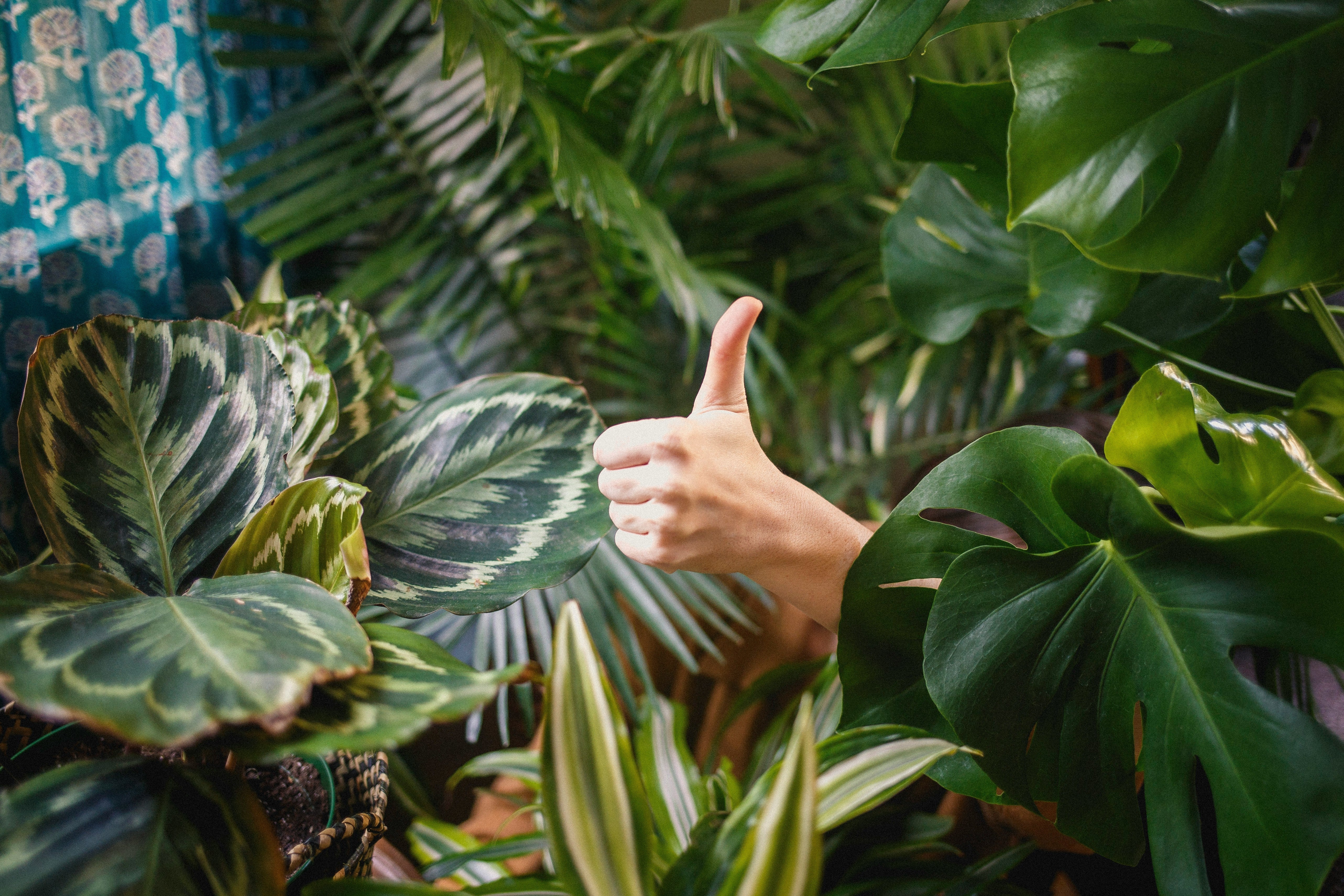 These 5 Essential Supplements Can Change Your Life