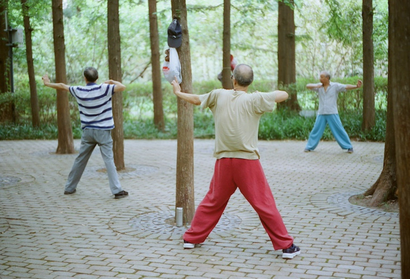 The Key to Longevity, Brain Health, and Vitality — What You Need to Know