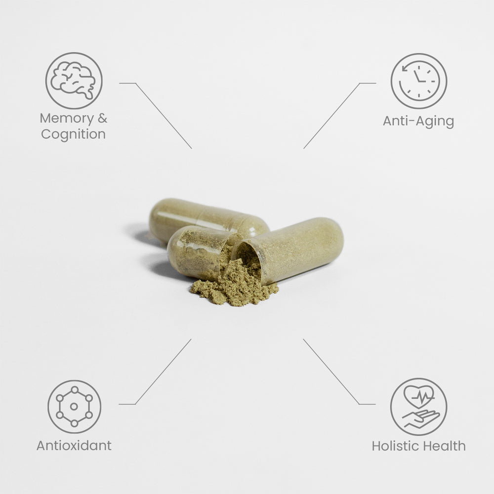 Ginkgo Biloba + Ginseng