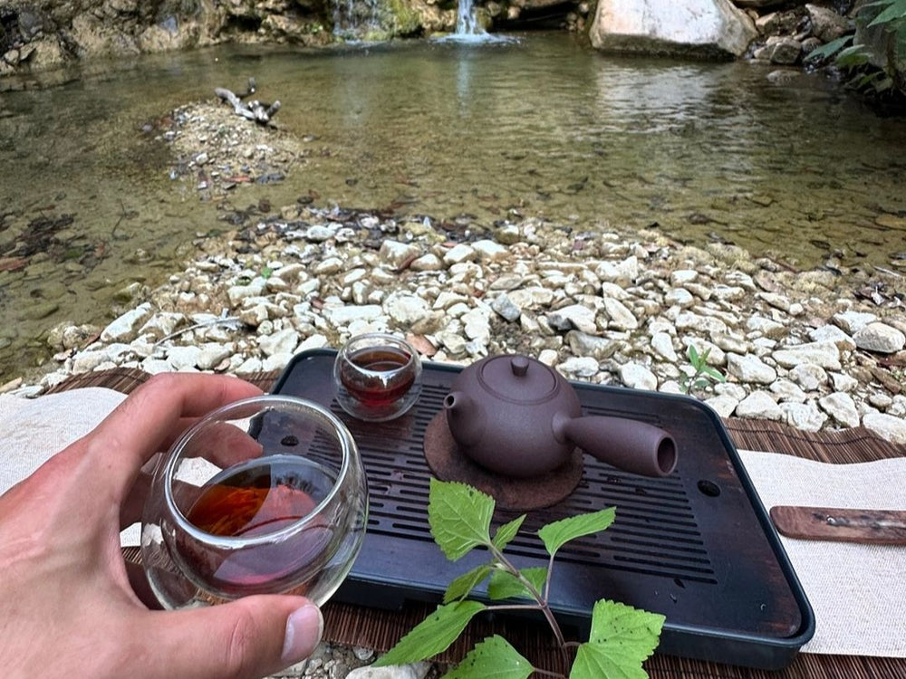 Nature Edition Trail Hike and Tea Ceremony