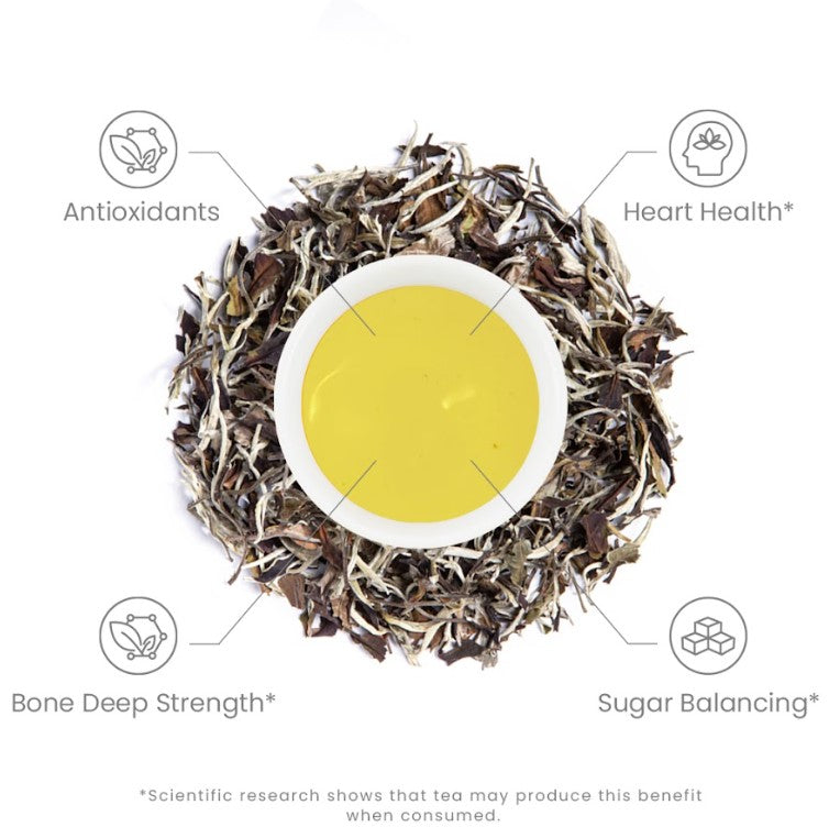 Ancient Moonlight White