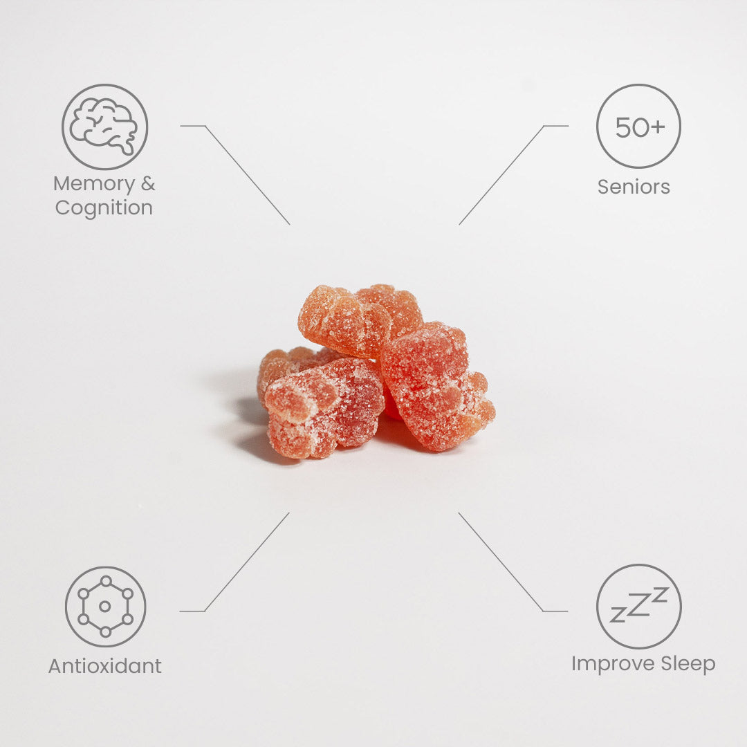Wellness Wise Adult Multivitamin