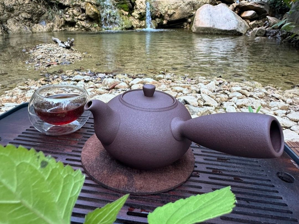 Nature Edition Trail Hike and Tea Ceremony