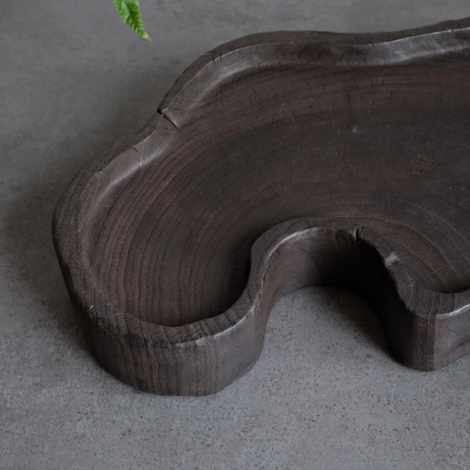 Shou Sugi Camphor Tray