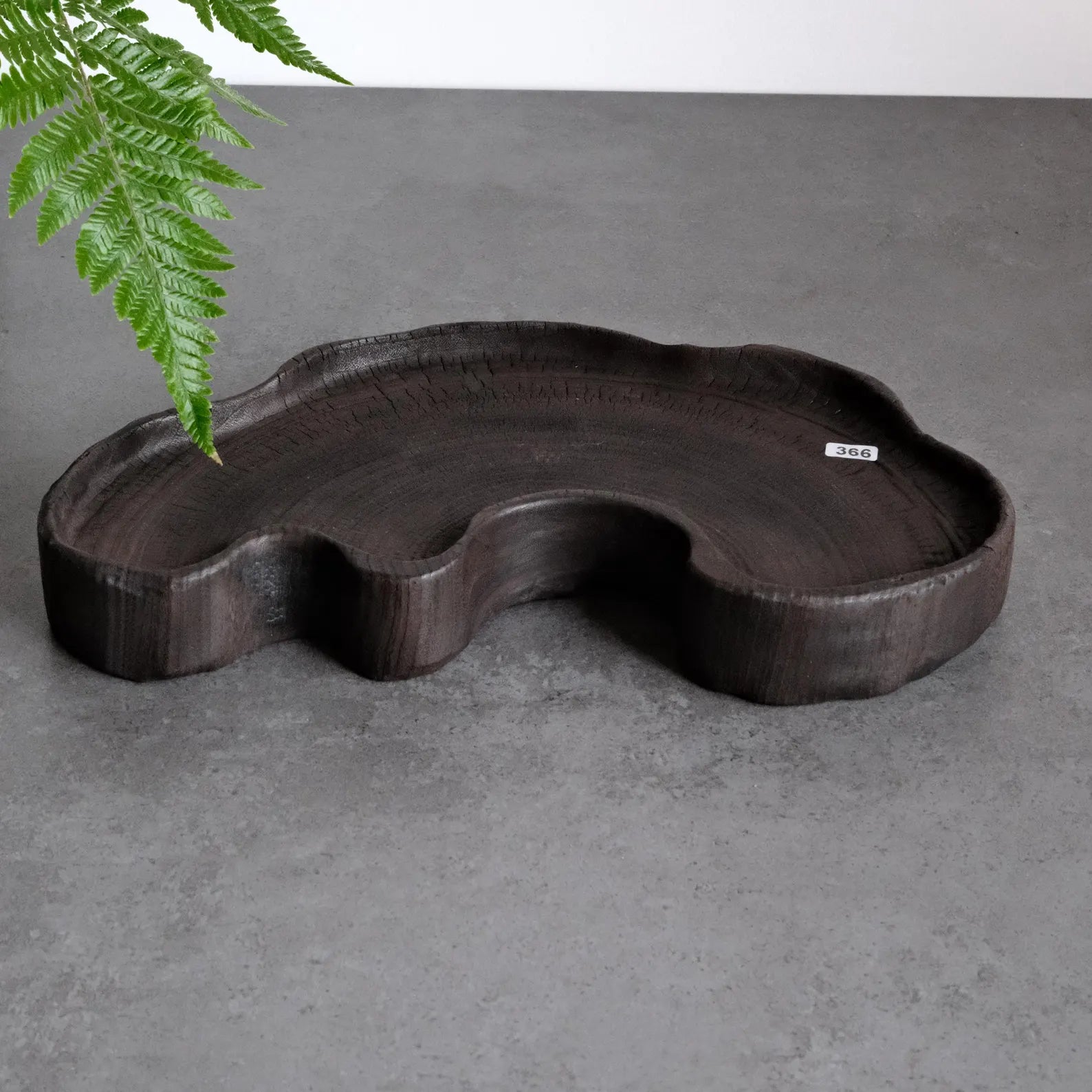 Shou Sugi Camphor Tray