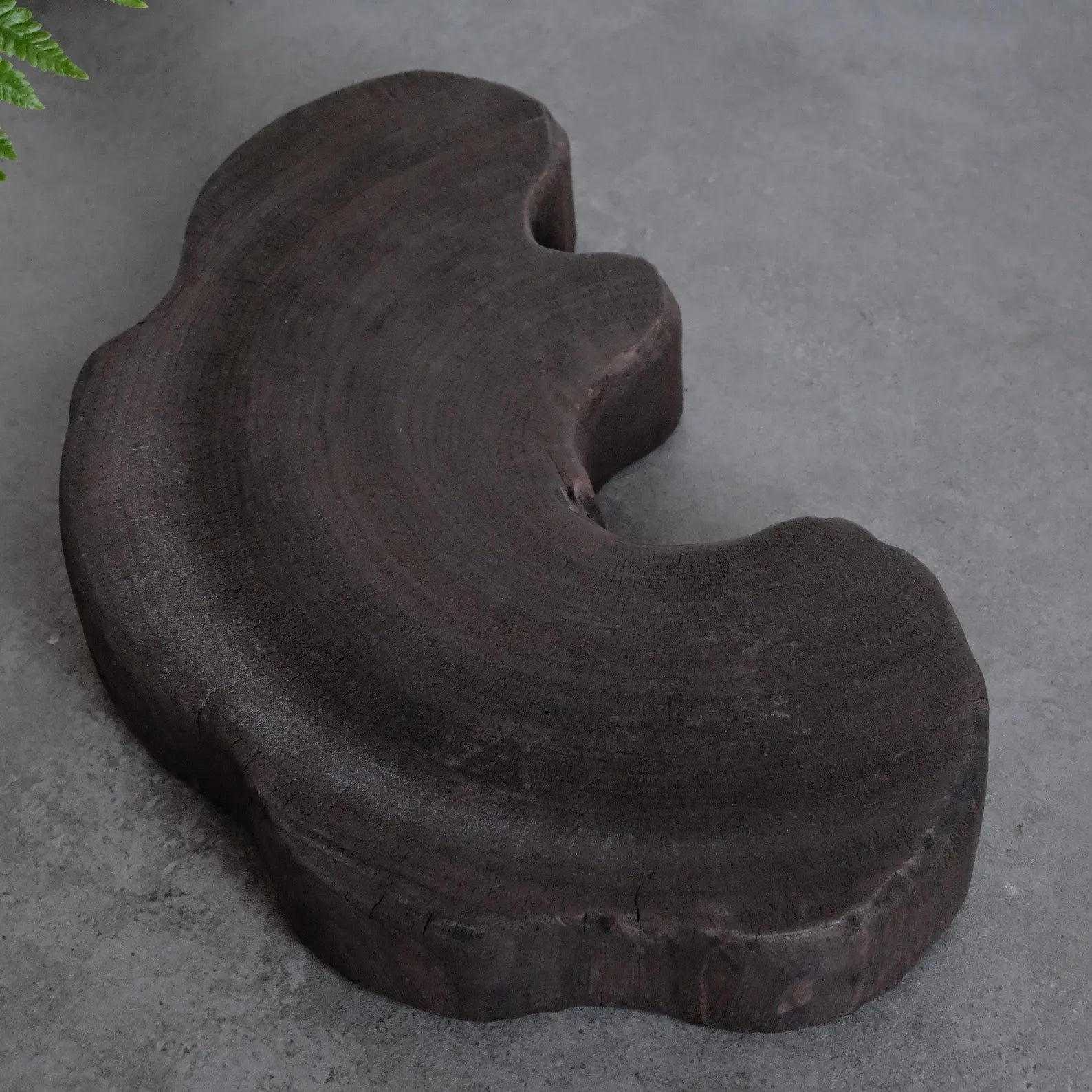 Shou Sugi Camphor Tray