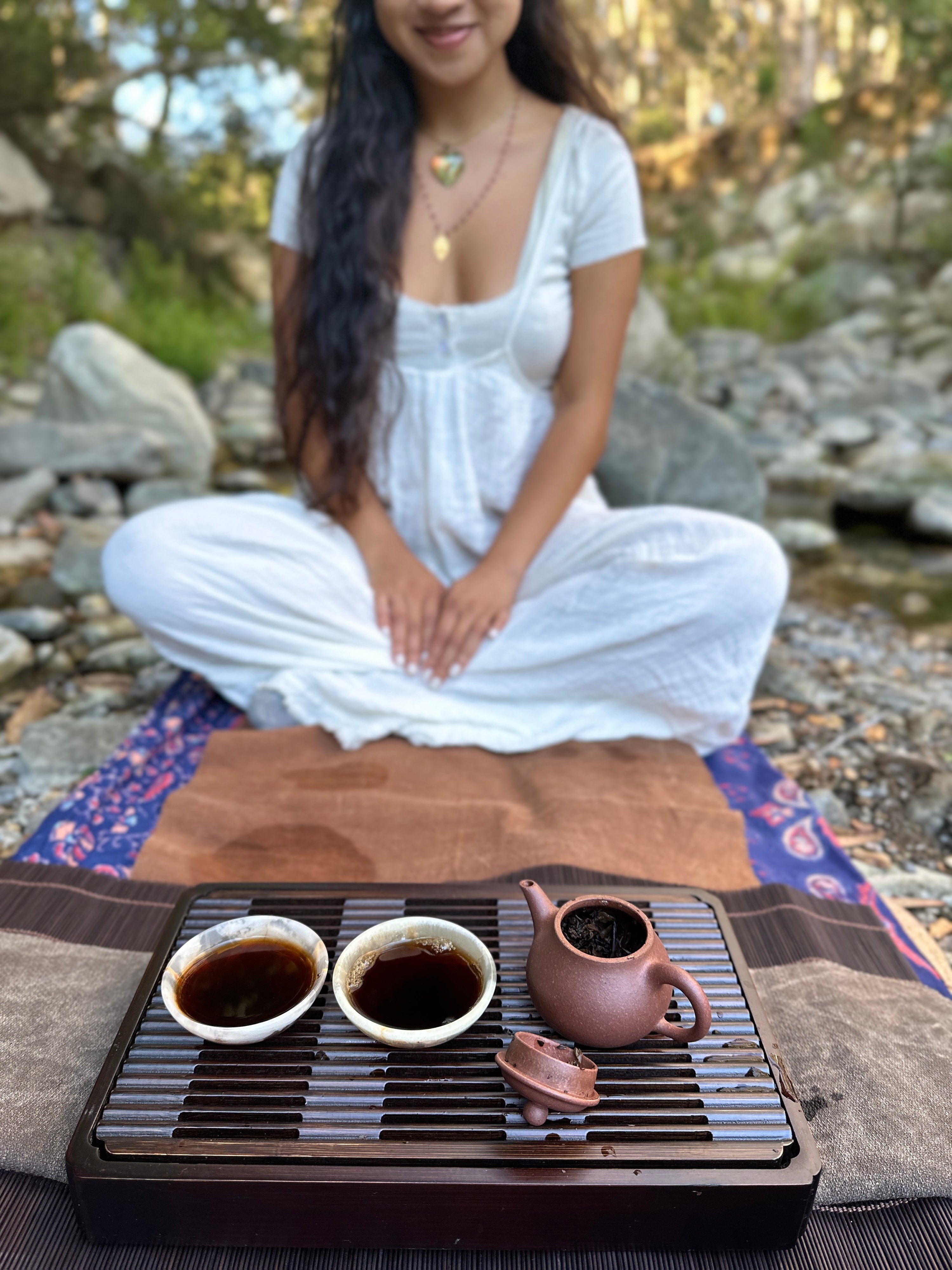 Tea Ceremony in Nature