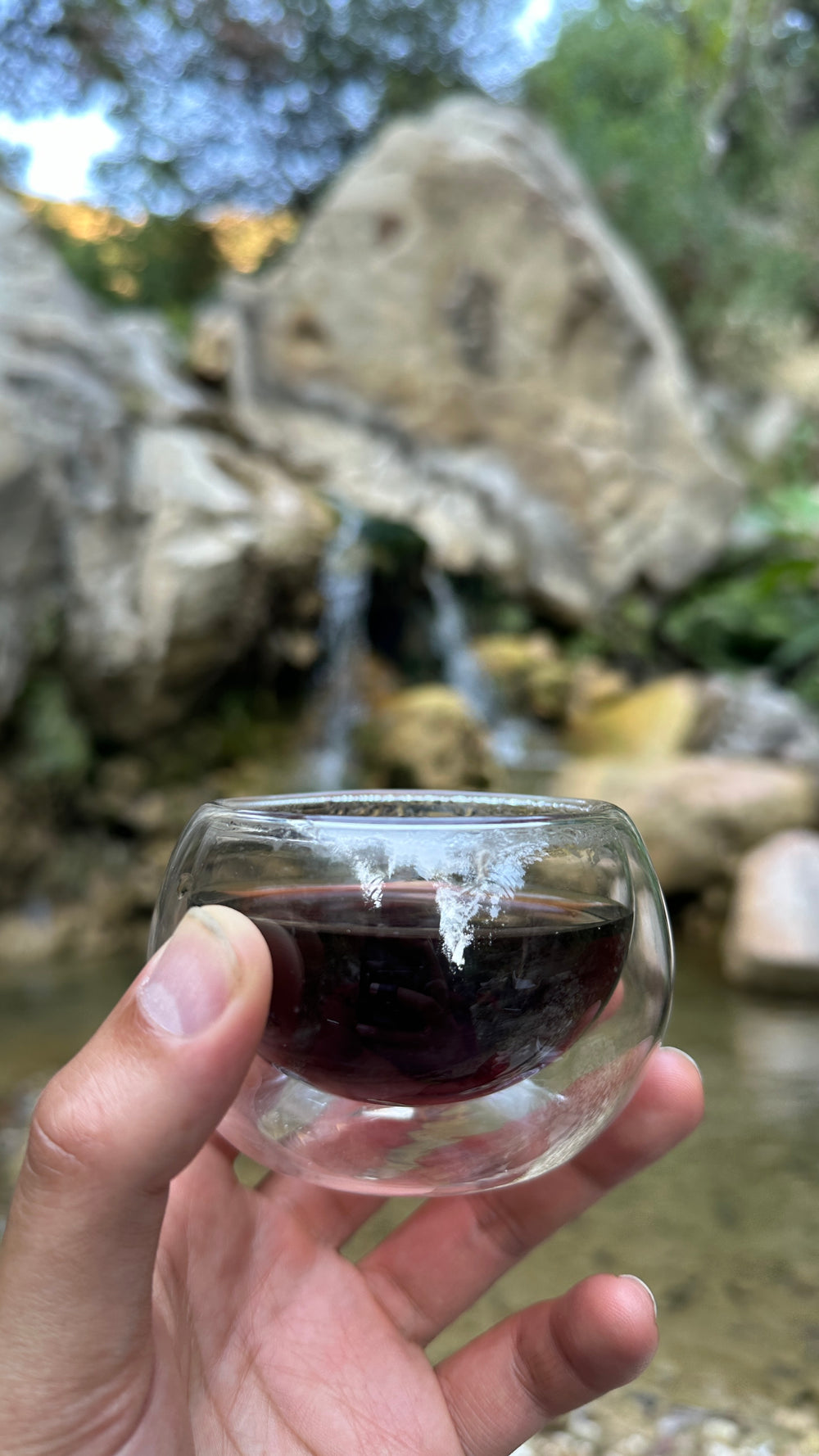 Tea Ceremony in Nature