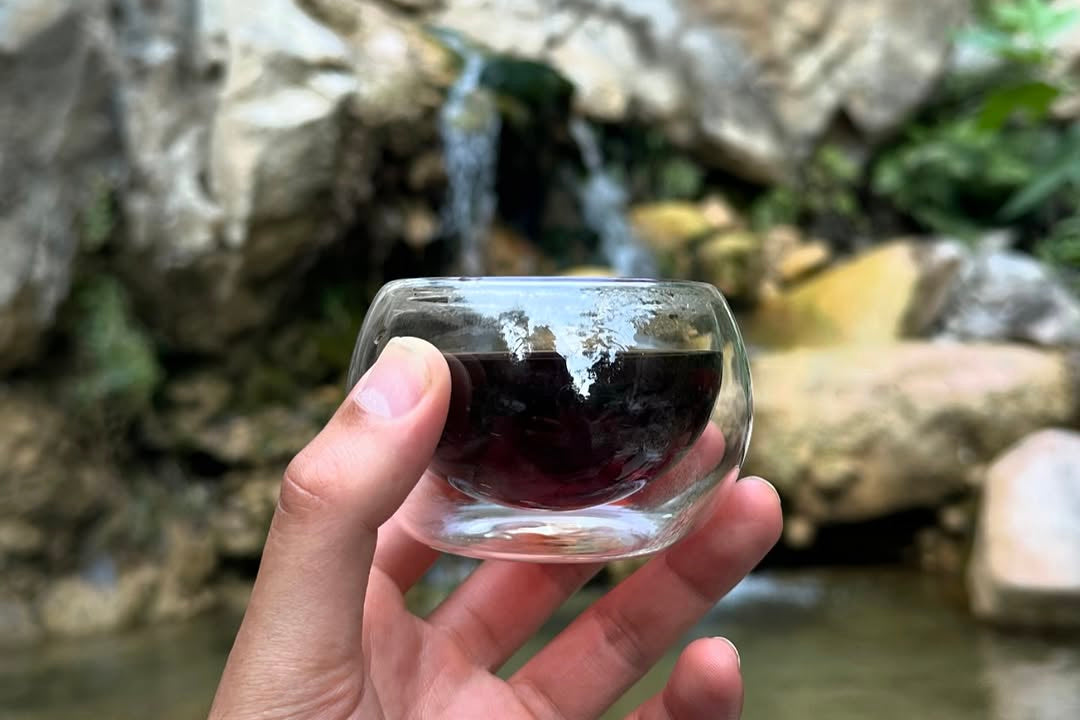 Nature Edition Trail Hike and Tea Ceremony
