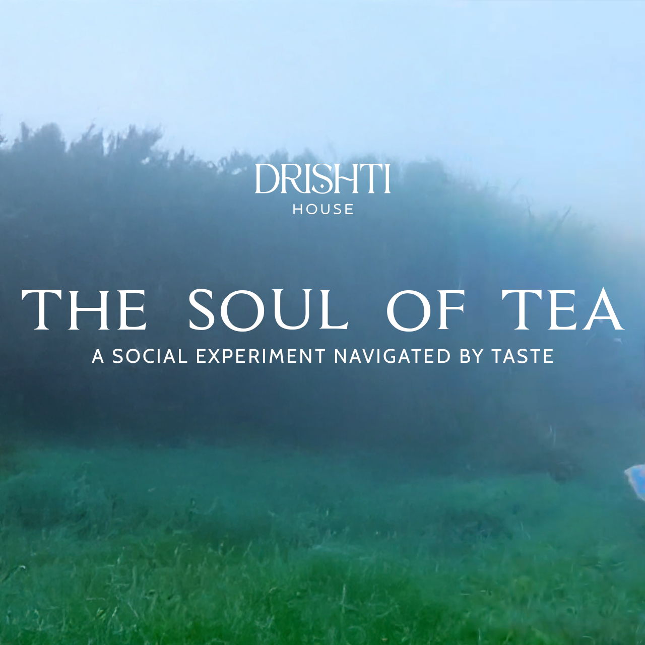 The Soul of Tea: A Multi-Sensory Experience - 3 Jul 2025