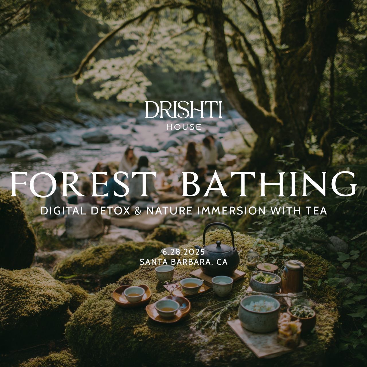 Forest Bathing & Tea - Technology Detox & Reconnecting To Our True Nature - 28 Jun 2025